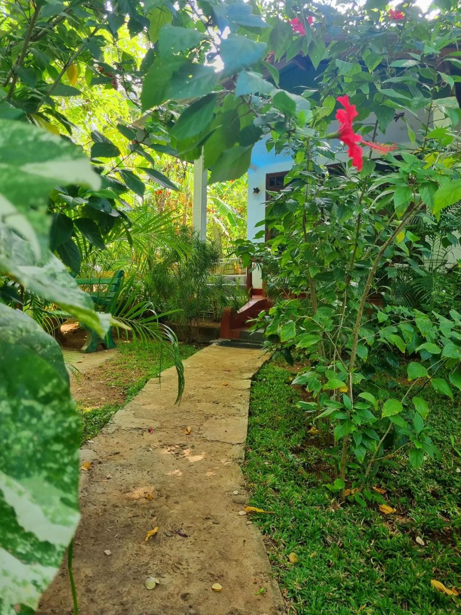 Sunrise Cottage Sigiriya Bagian luar foto