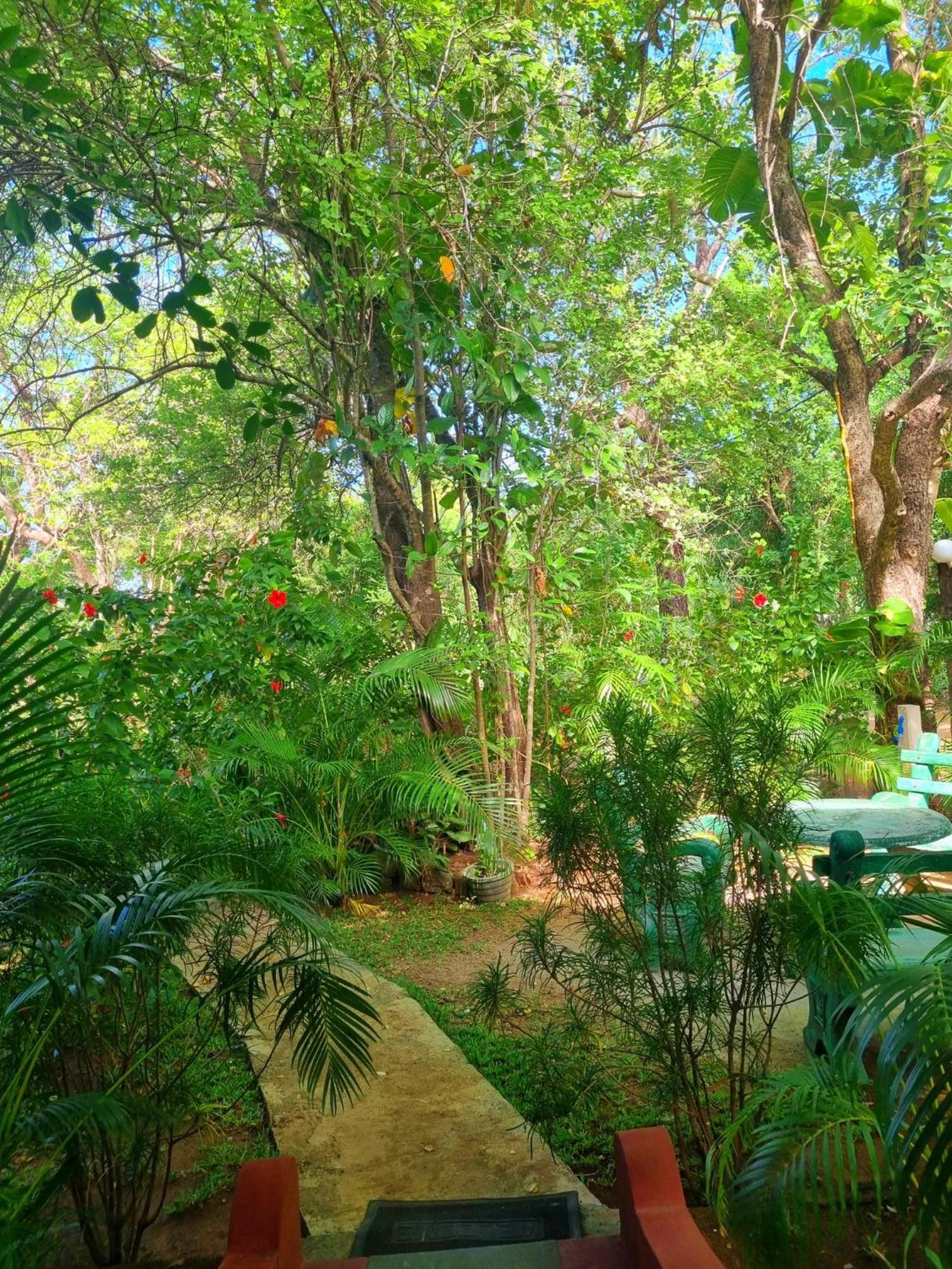 Sunrise Cottage Sigiriya Bagian luar foto